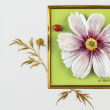 Настенная роспись «Космея с божьей коровкой» Настенная роспись «Космея с божьей коровкой»