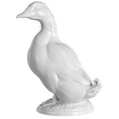 Селезень