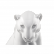 Леопард