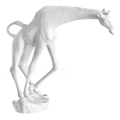 Жираф