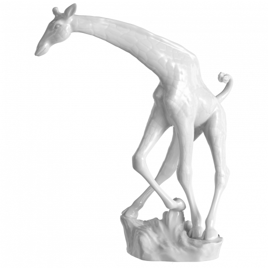 Жираф Жираф