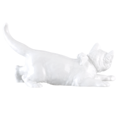 Кот