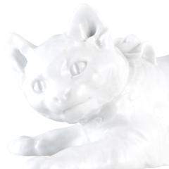 Кот