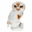 Сова