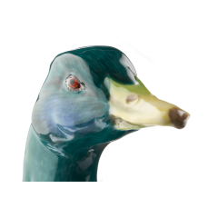 Селезень