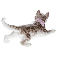 Кот