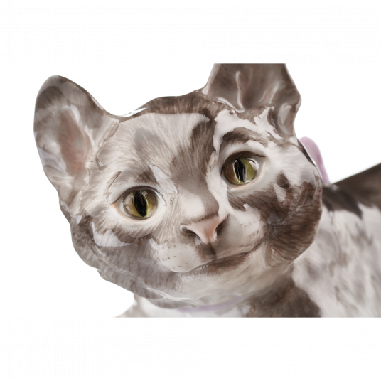Кот Кот