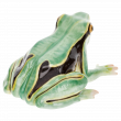 Лягушка