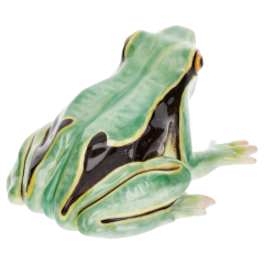 Лягушка