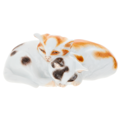 Пара Котят
