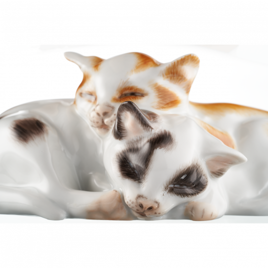 Пара Котят Пара Котят