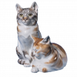 Группа кошек