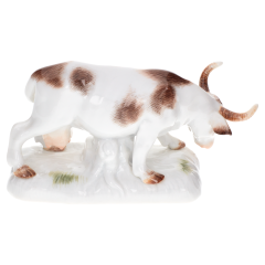 Корова