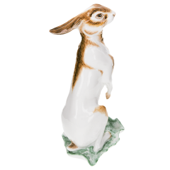 Заяц