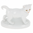 Кот Кот