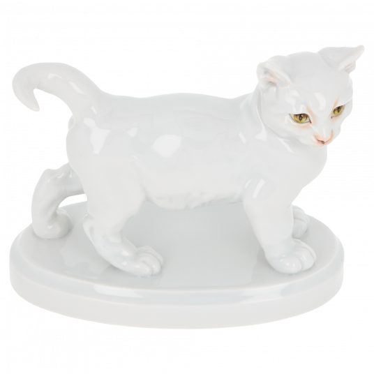 Кот Кот