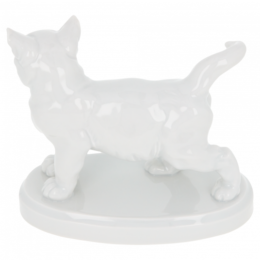 Кот Кот