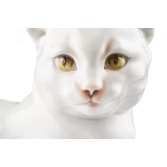 Кот