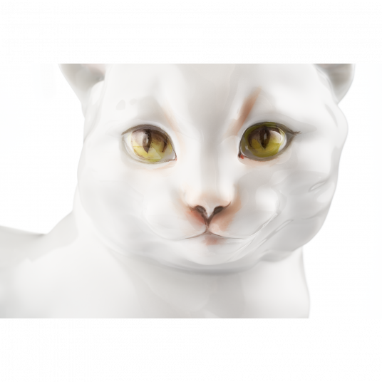 Кот Кот