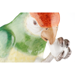 Попугай на стволе дерева
