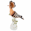 Удод